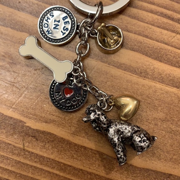 Poodle 🐩 bundle - Picture 12 of 13